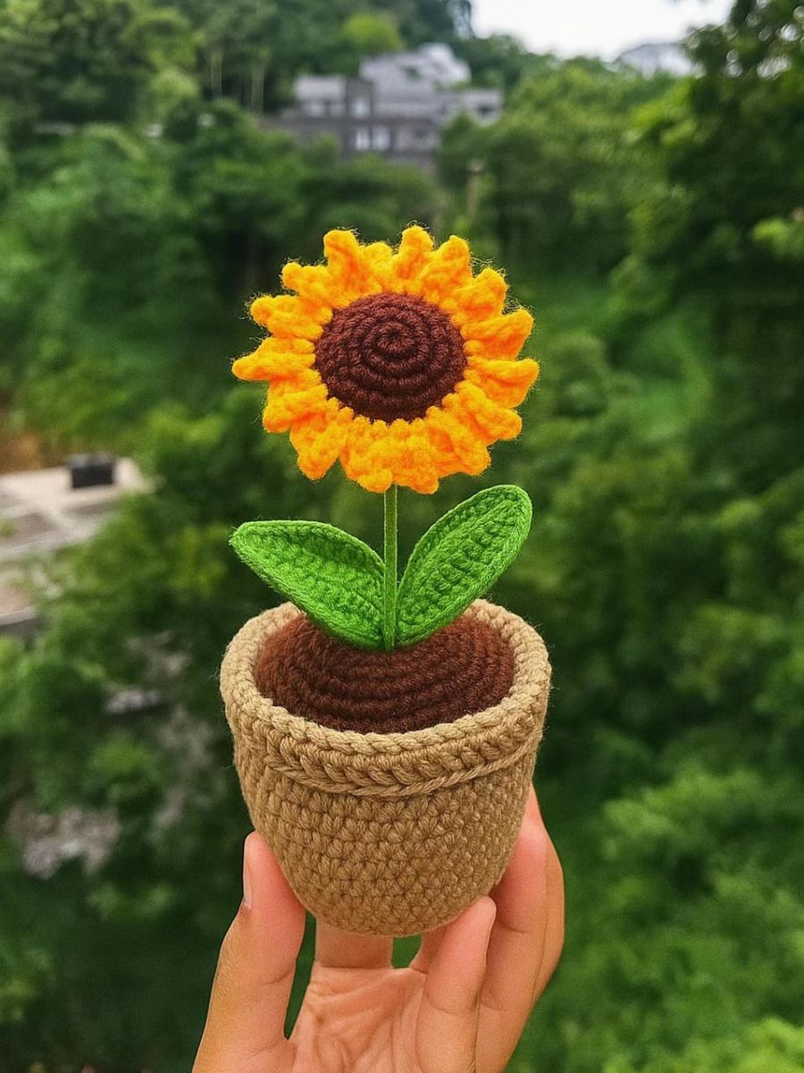 Potted sunflower