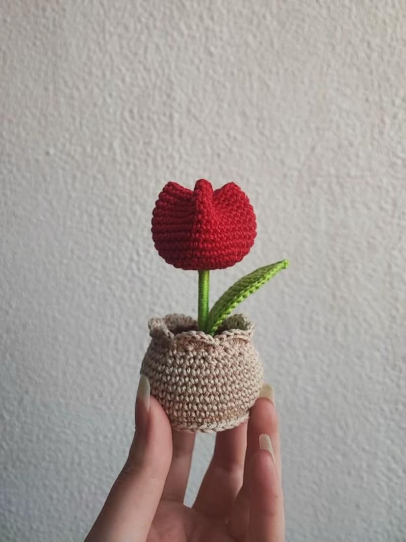 Potted tulip